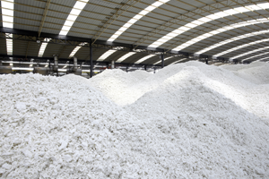 Paper Pulp Processing